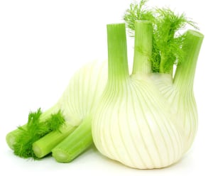 Fenouil : Vente à botte de 750 gr